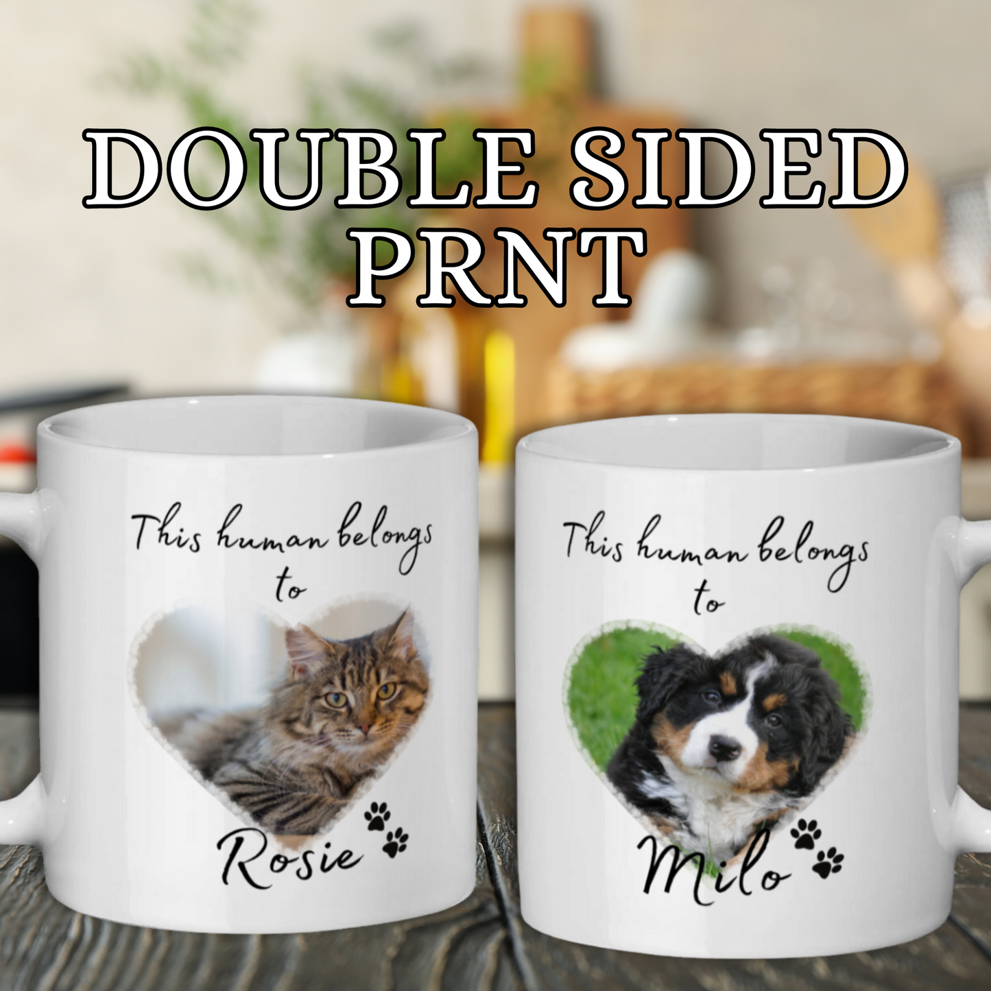 This Human Belongs to... Mug with Picture