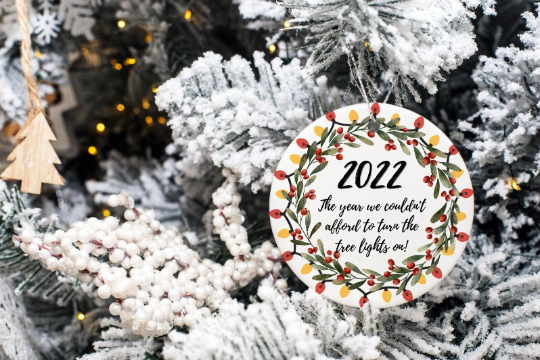 Funny Christmas Decoration, 2022 Xmas Tree Ornament, Funny Christmas Gift